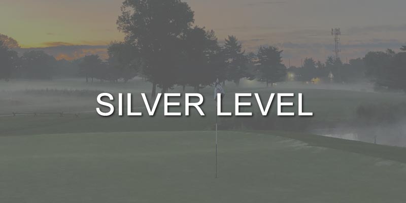 Silver Level